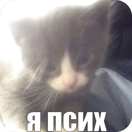 Sticker Mya_mya_u8 - 1