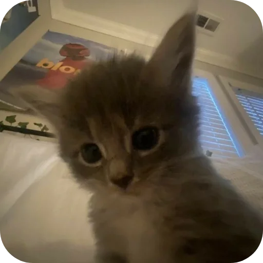 Мягкие всратыши @meowkyit 1 - 