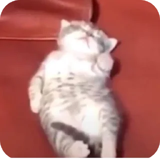 Sticker Мягкие всратыши @meowkyit 1 - 4