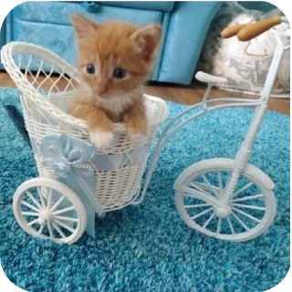 Sticker Мягкие всратыши @meowkyit 1 - 11