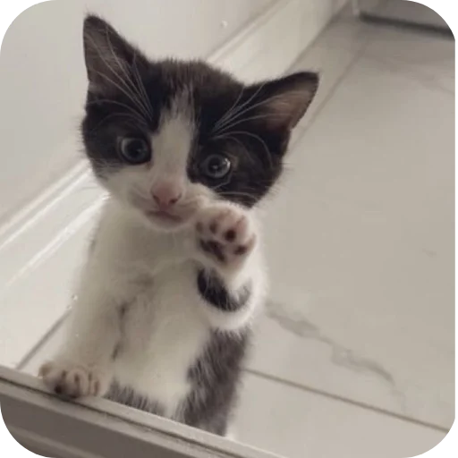 Мягкие всратыши @meowkyit 3 - 