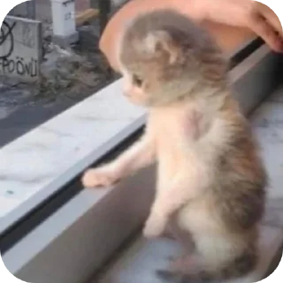 Sticker Мягкие всратыши @meowkyit 3 - 10