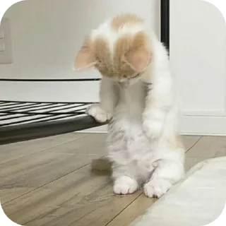 Sticker Мягкие всратыши @meowkyit 3 - 6