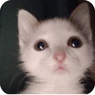 Sticker Мягкие всратыши @meowkyit 3 - 7