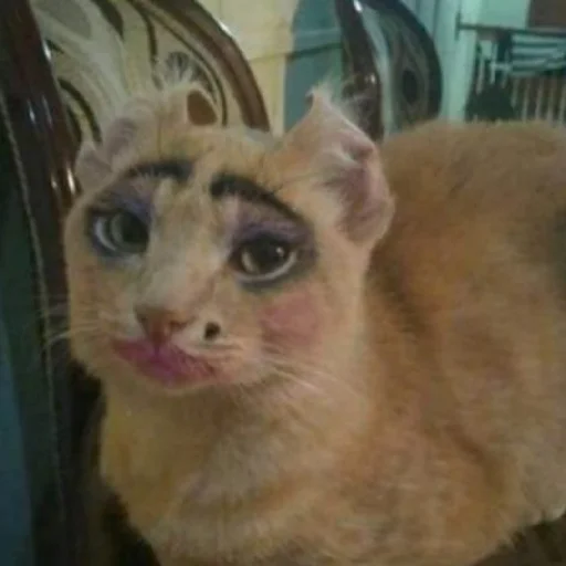 Стикер Myau335 - 1