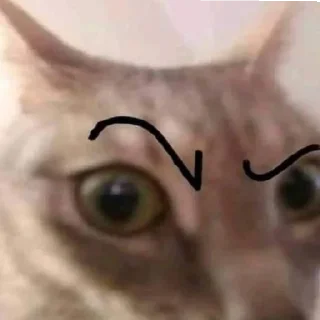 Sticker Мяу:3 - 10