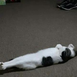 Sticker Мяу:3 - 5