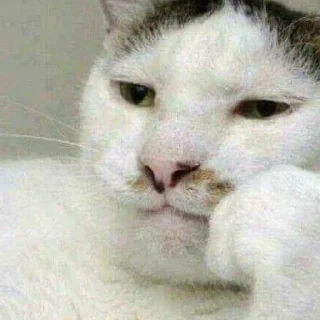 Sticker Мяу:3 - 1