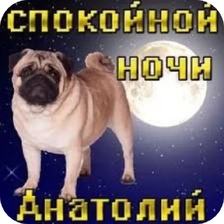 Стикер Мяв - 9