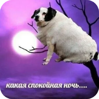 Стикер Мяв - 11