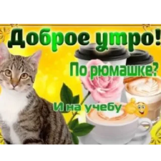 Стикер Мяв - 7