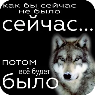 Стикер Мяв - 5