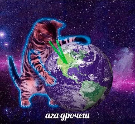 животное космос планета