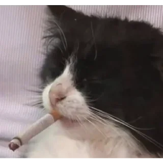 Sticker Юзабельное 2 - 8