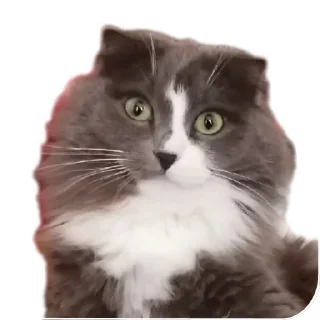 Стикер Merlin the CAT - 4