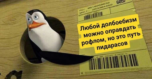 СМС тупик птица