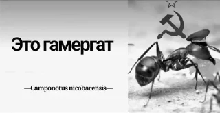 Sticker Муравей-философ от @BlackKowka - 10