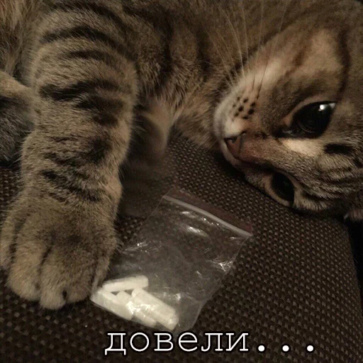 Стикер Myrlika - 1