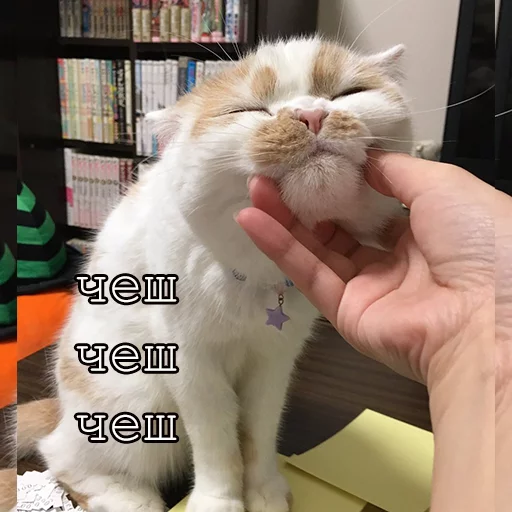 Стикер Myrlika - 1