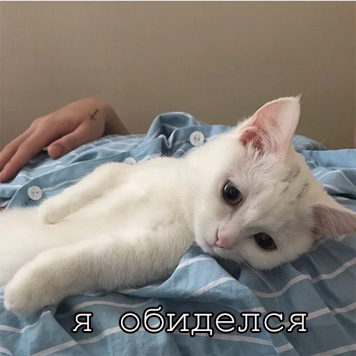 Стикер Myrlika - 1