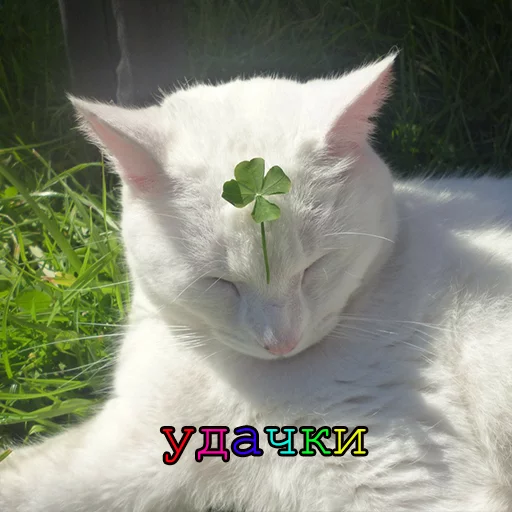 Стикер Myrlika - 1