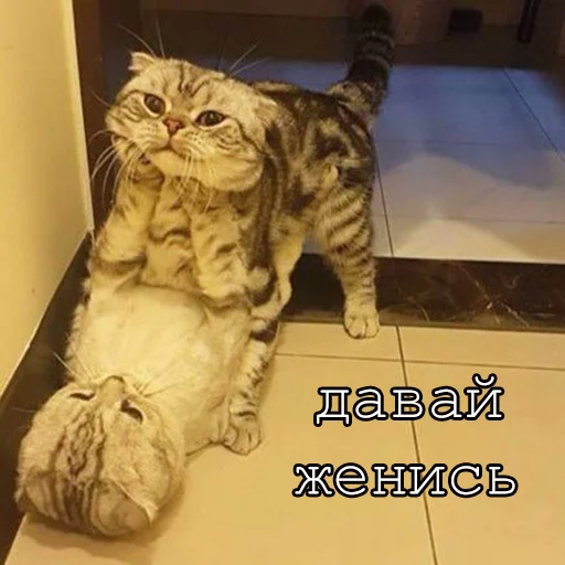 Стикер Myrlika - 1