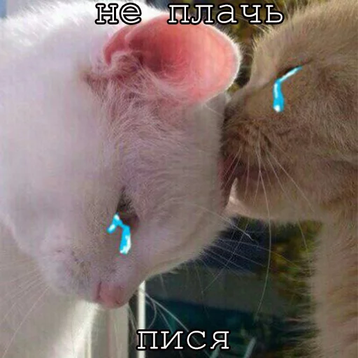 Стикер Myrlika - 1