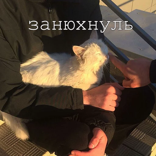 Стикер Myrlika - 1