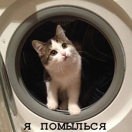 Стикер Myrlika - 1