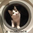 Sticker Мурлыки - 10