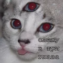 Sticker Мурлыки - 9