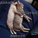 Sticker Мурлыки - 2