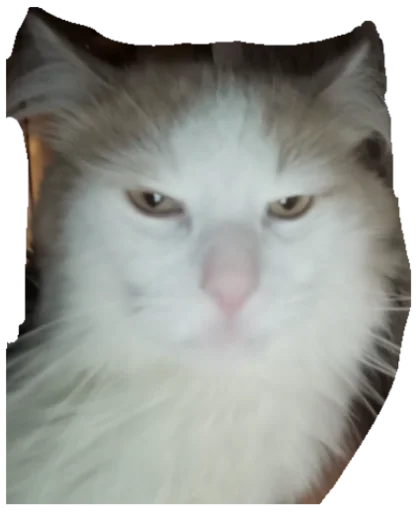 Стикер Myrloo - 1