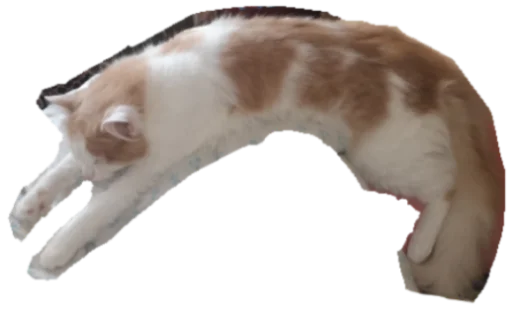 Стикер Myrloo - 1