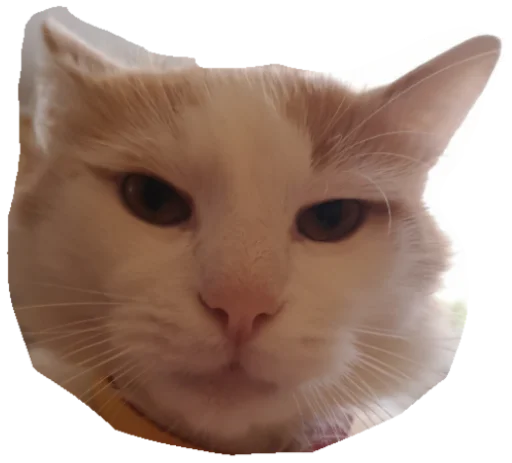 Sticker Мурло - 10