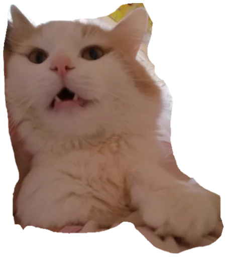 Sticker Мурло - 5