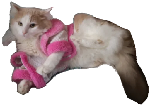 Sticker Мурло - 4