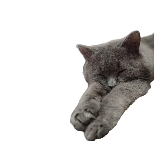 Sticker Myshka16 - 1