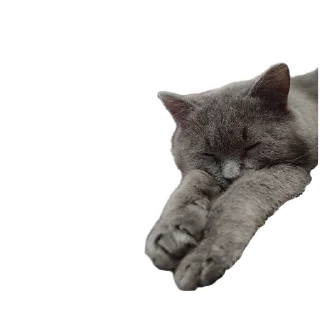 Стикер Мышка @juliya_brain - 5