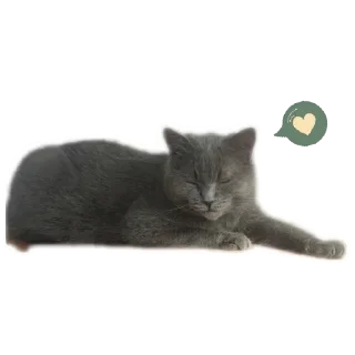 Стикер Мышка @juliya_brain - 4