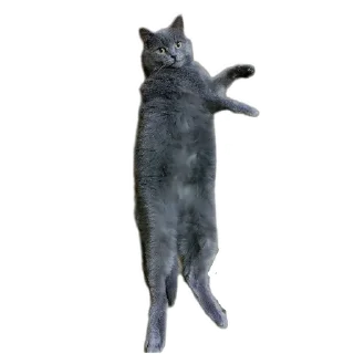 Стикер Мышка @juliya_brain - 0