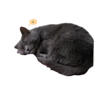 Стикер Мышка @juliya_brain - 1