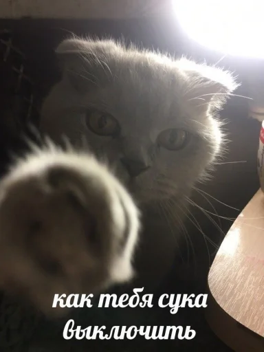 Sticker @Dona_mil's pack - 11