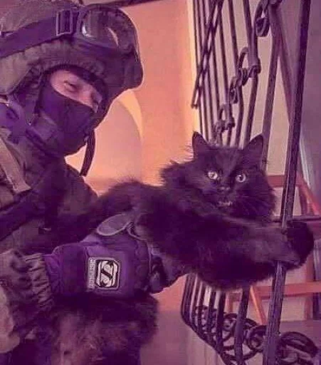 Sticker @Dona_mil's pack - 9