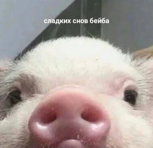 Sticker @Dona_mil's pack - 6