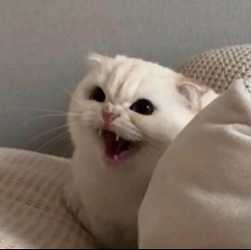 Sticker @Dona_mil's pack - 5