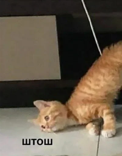 Sticker @Dona_mil's pack - 4