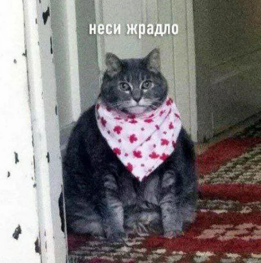 Sticker @Dona_mil's pack - 1