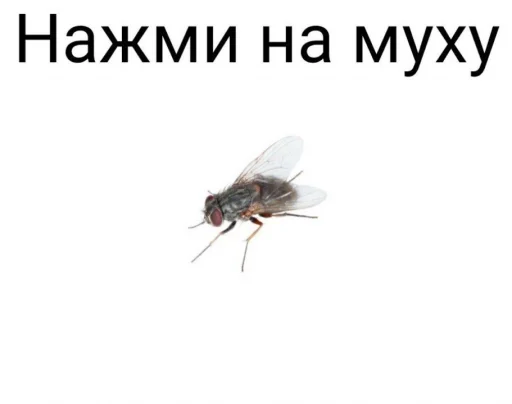 беспозвоночный вредитель животное