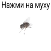 Муха ахахах by @dolcepost - Белый